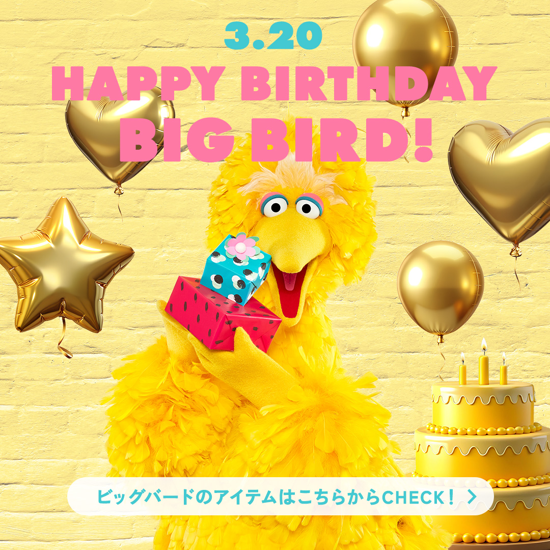 3.20 HAPPY BIRTHDAY BIG BIRD!